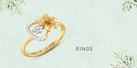 Stylori rings clearance